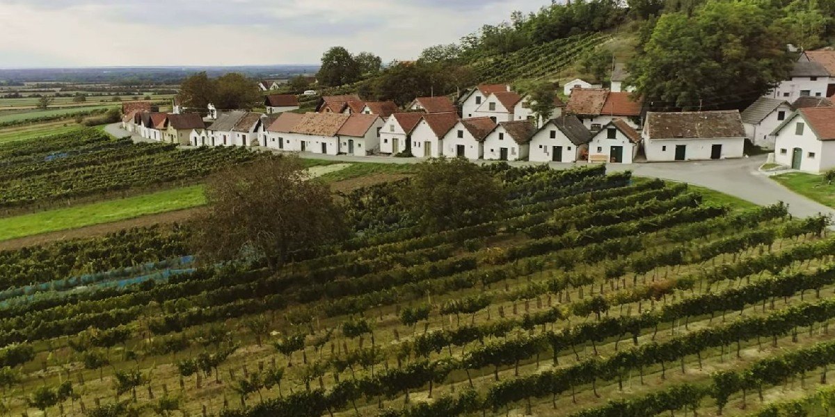 Half Day Tour to the Weinviertel Wine Region, photo 1