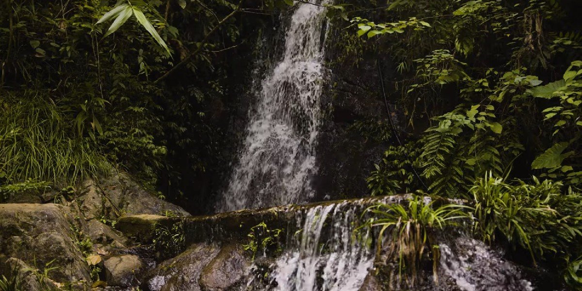 Hike to the Tai Mo Shan Waterfall Hike