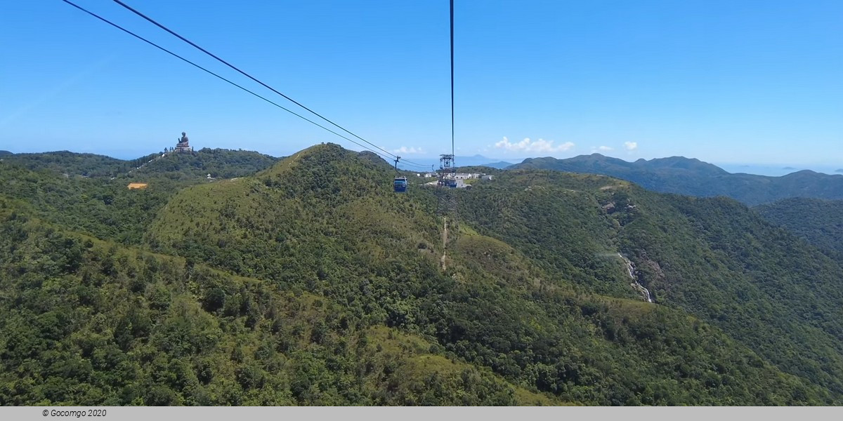 Day Tour to the Lantau Island: Big Buddha, Tai O and Cable Car Ngong Ping 360 Ride