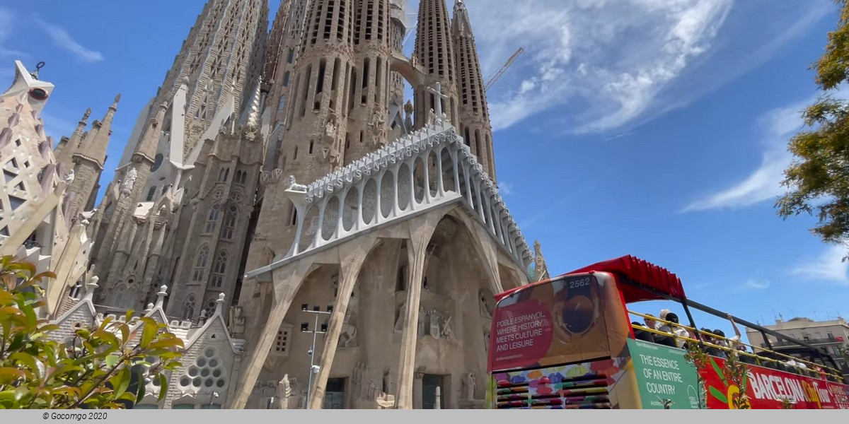 Sagrada Familia Skip-the-Line Entry Ticket (Towers not included)