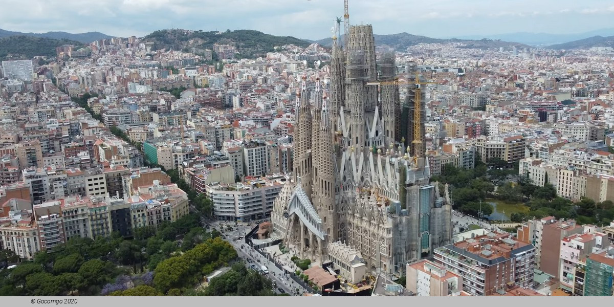 Sagrada Familia Skip-the-Line Entry Ticket (Towers not included)