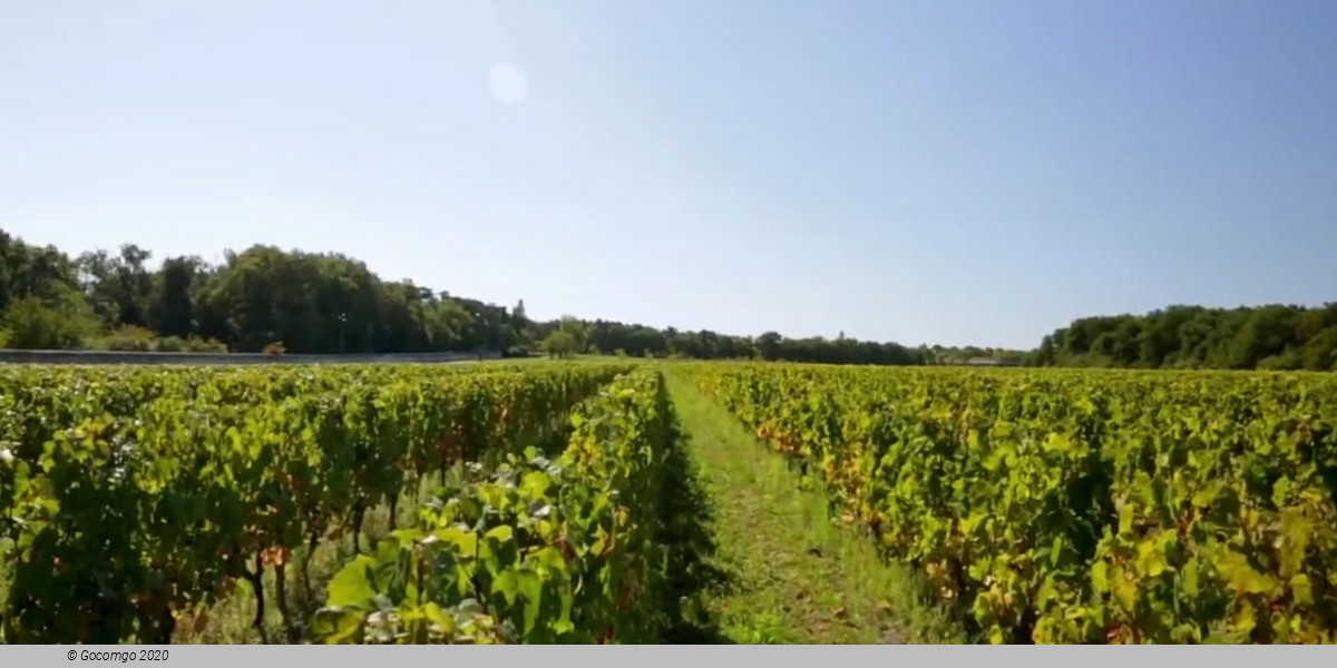 Loire Valley Castles Tour from Paris and Wine Tasting