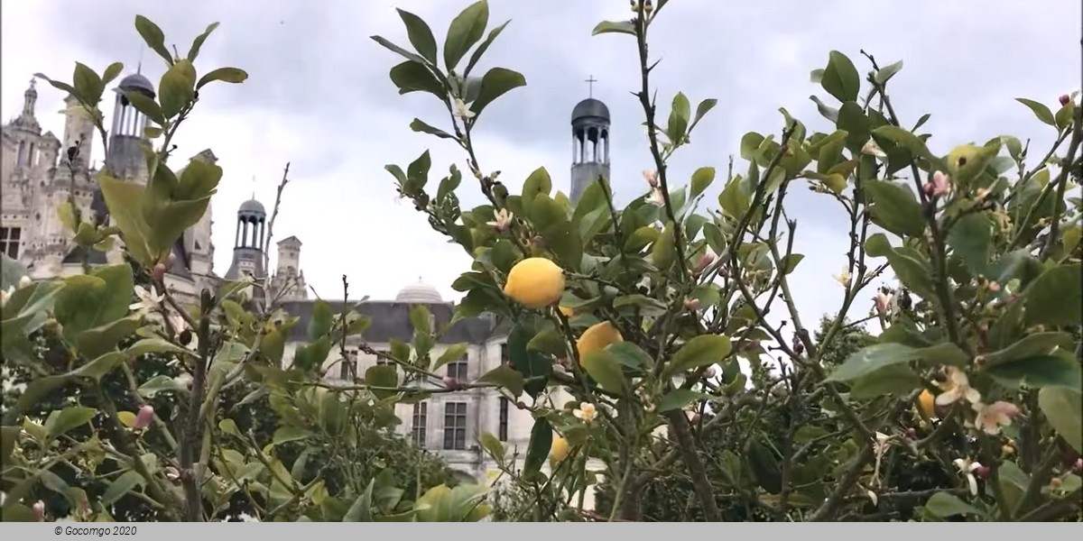 Loire Valley Castles Tour from Paris and Wine Tasting