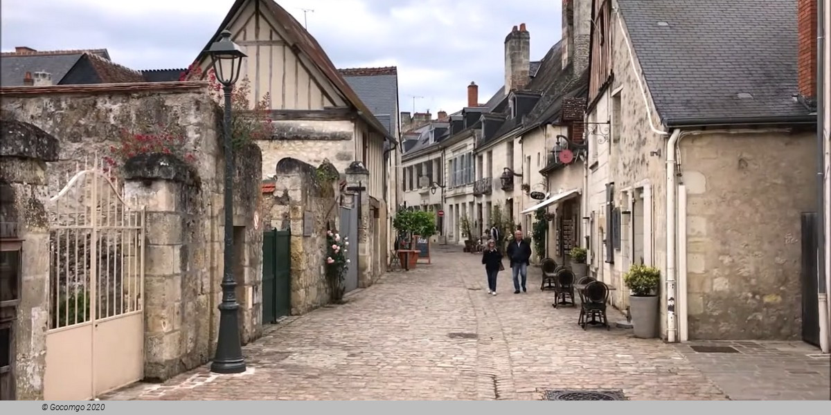 Loire Valley Castles Tour from Paris and Wine Tasting