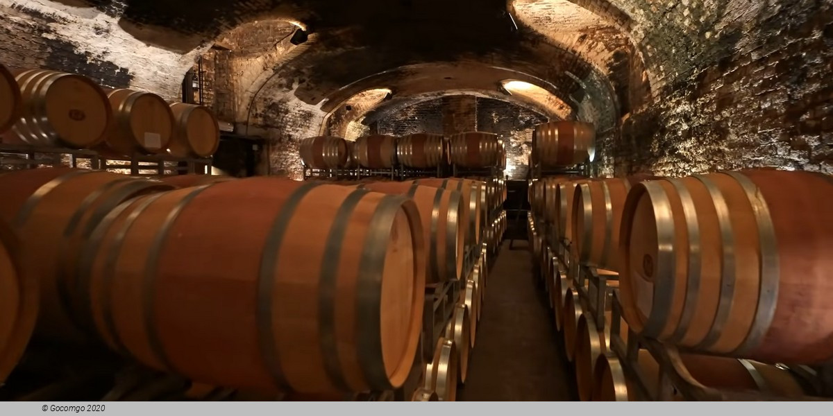 Tour from Milan: Barolo wine tasting, Alba town and UNESCO Castle Heritage