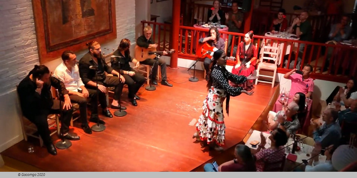 Tablao de Carmen: Flamenco Show and Tapas Tasting or Dinner of your choice