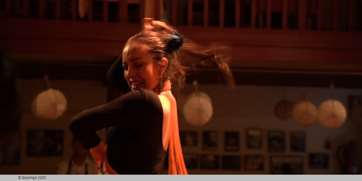 Tablao de Carmen: Flamenco Show and Tapas Tasting or Dinner of your choice