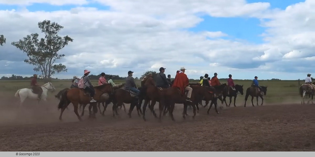 Full-Day Tour to the Argentinian Ranch with Great Gaucho Experience and Lunch