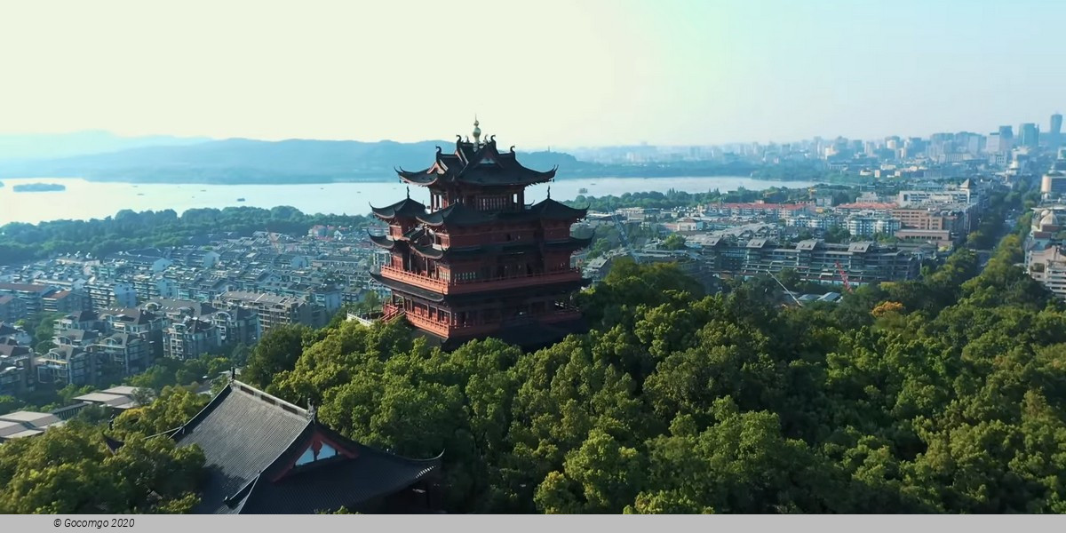 Hangzhou with Lingyin Temple Private Tour from Shanghai by Bullet Train