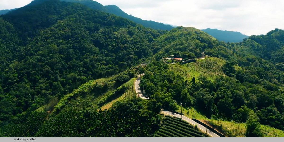 Thousand Island Lake and Pinglin Tea Plantation Tour from Taipei