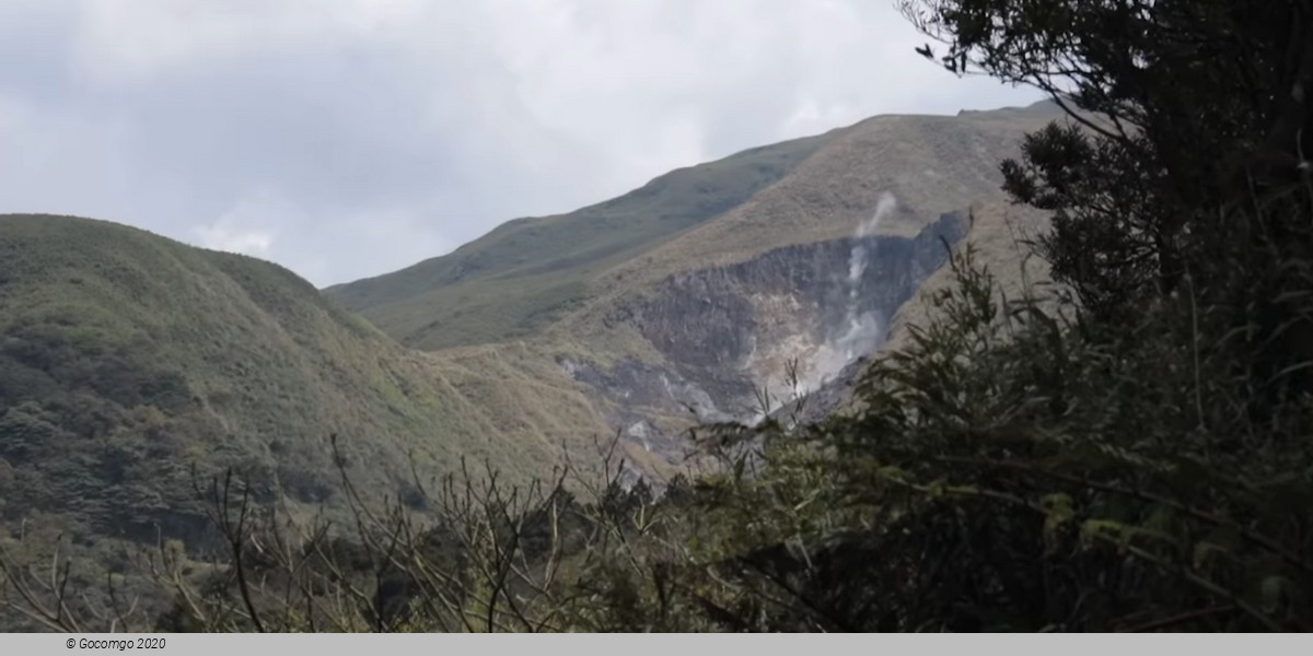 Beitou and Yangmingshan Day Tour from Taipei