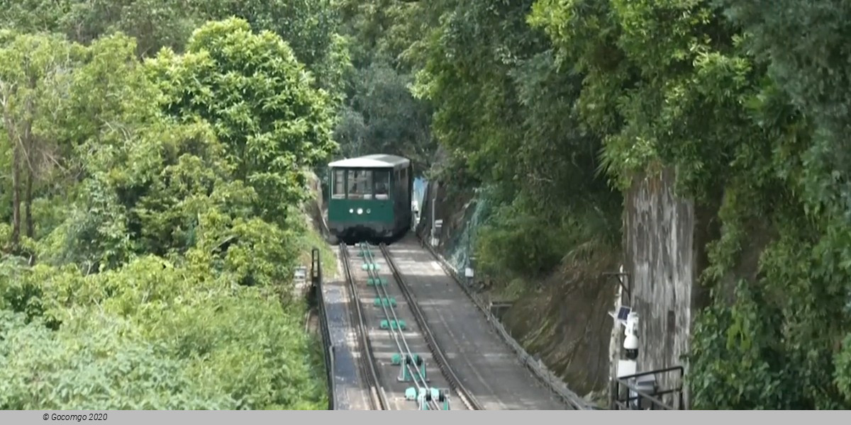 Hong Kong City Guided Tour with Lunch and Optional  Peak Tram and Star Ferry Ride