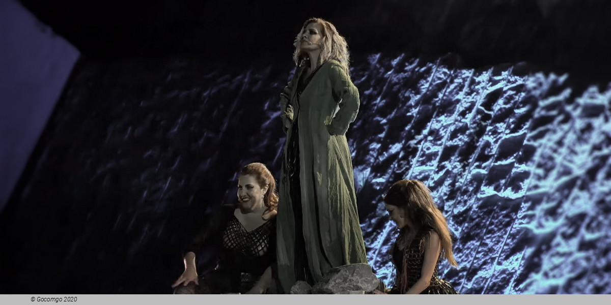 The Witches Seed, photo 6