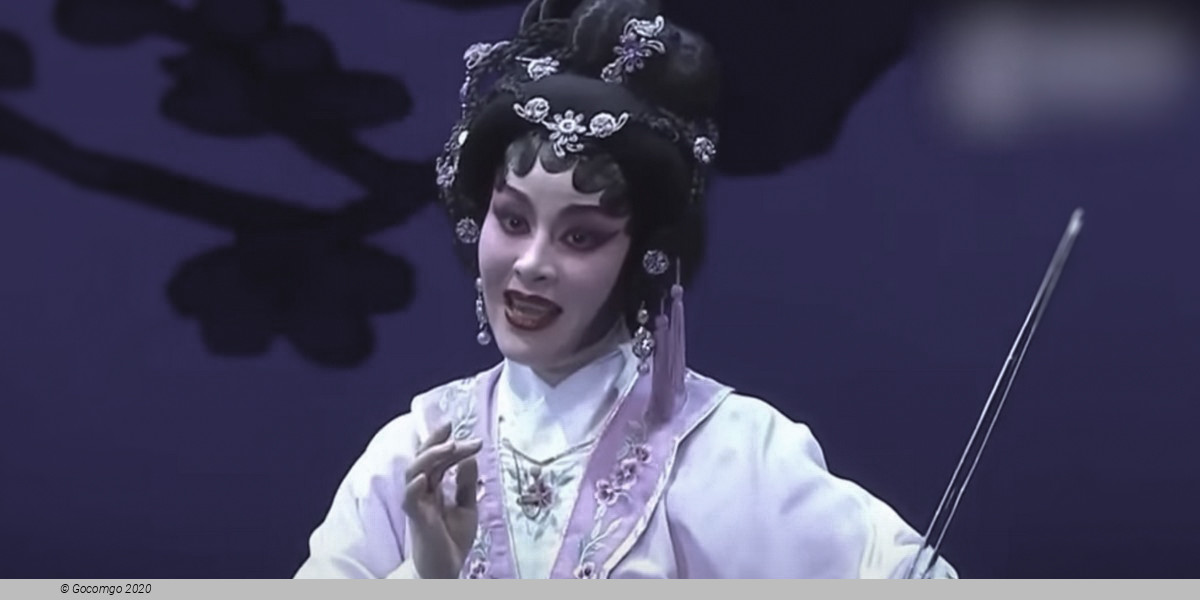 Cantonese Opera Excerpts by Sunny Cantonese Opera Troupe, photo 1