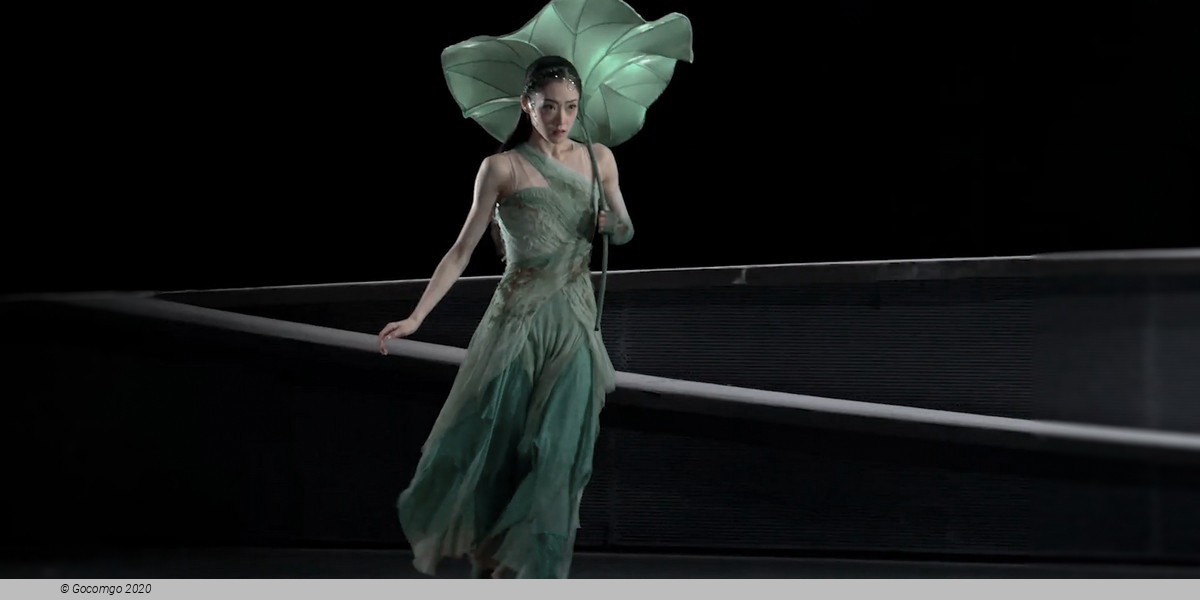 Dynamic Dance Dialogue 2024 "Our Cities - Part One", photo 1