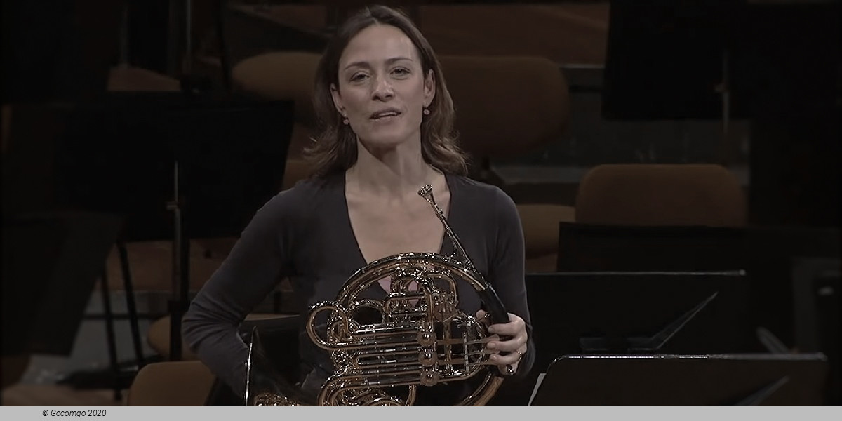 CHAMBER MUSIC IV, photo 1