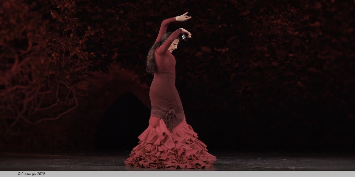 María Pagés: Entremos en el jardín, photo 1