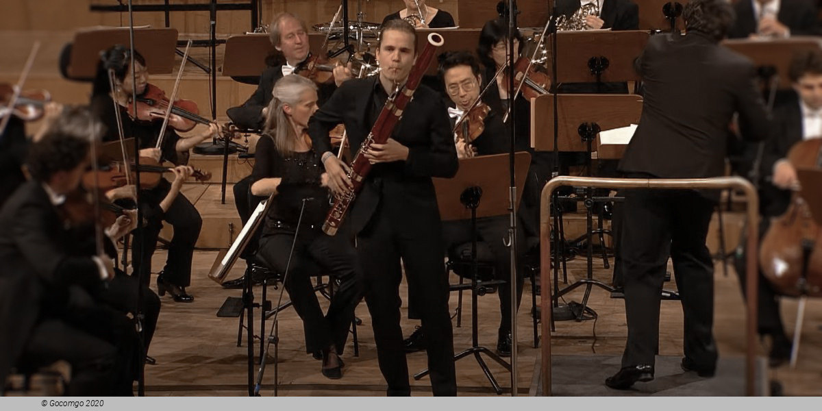 Bassoon solo, photo 1