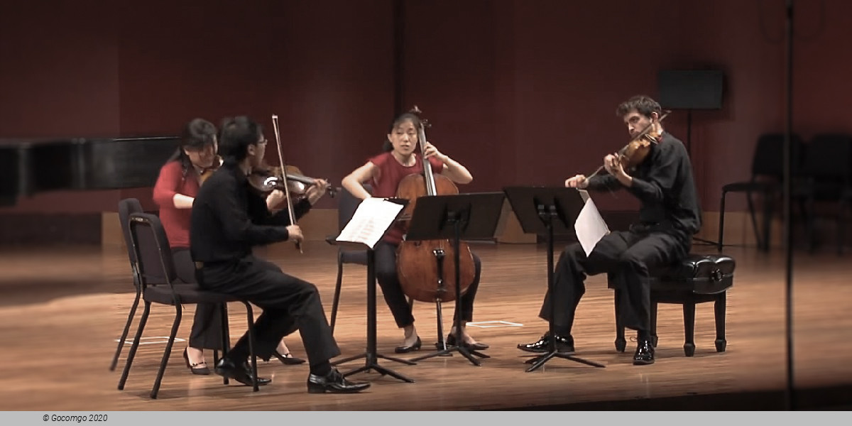 Zora String Quartet, photo 1