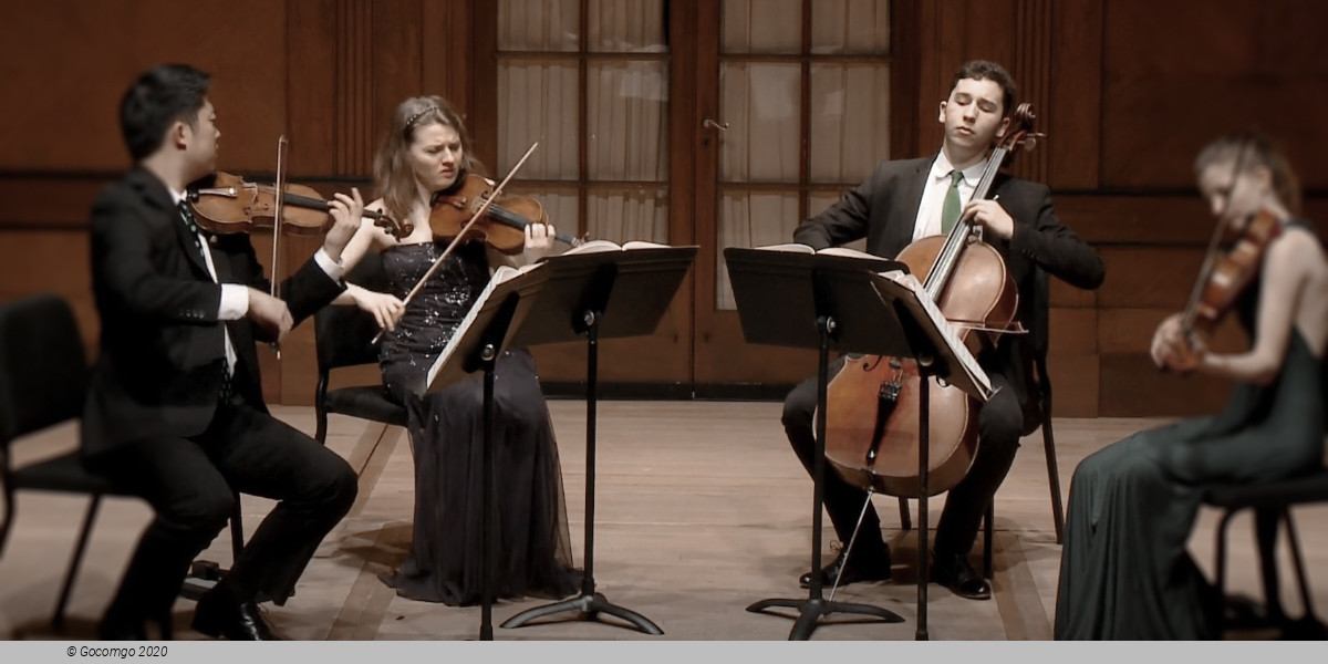 Hagen Quartet, photo 1
