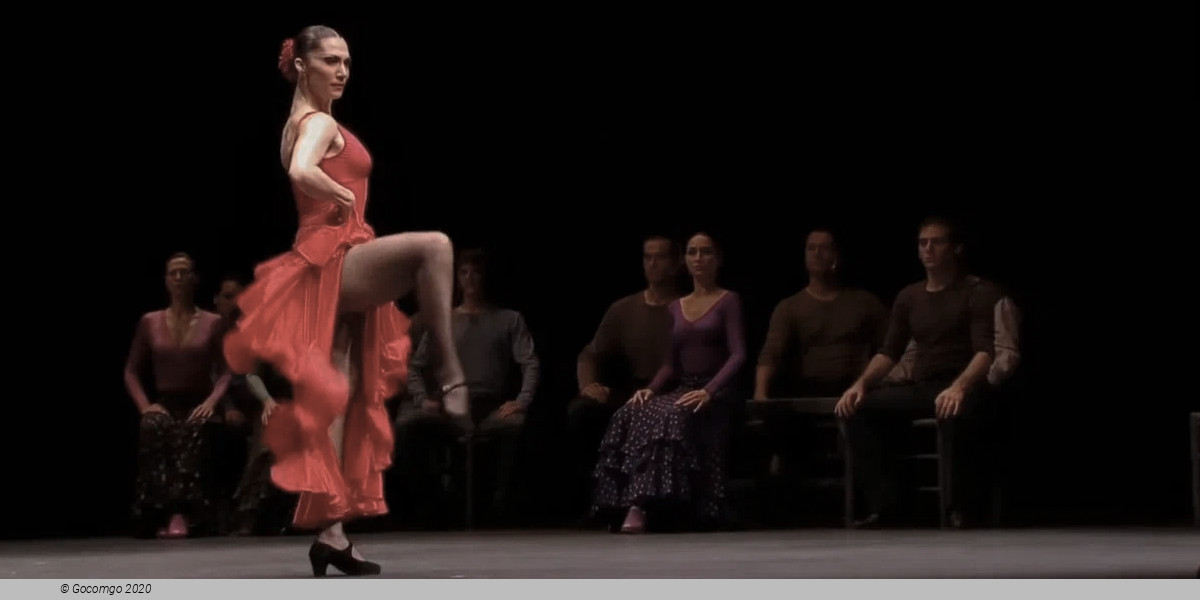 CARMEN IN FLAMENCO, photo 1