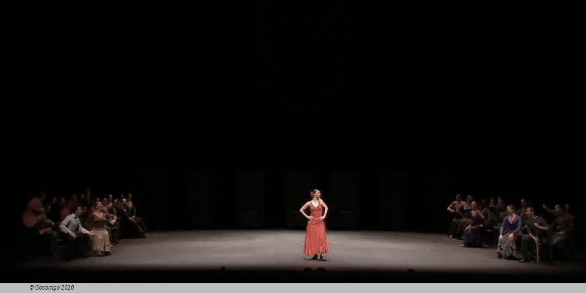 CARMEN IN FLAMENCO, photo 2