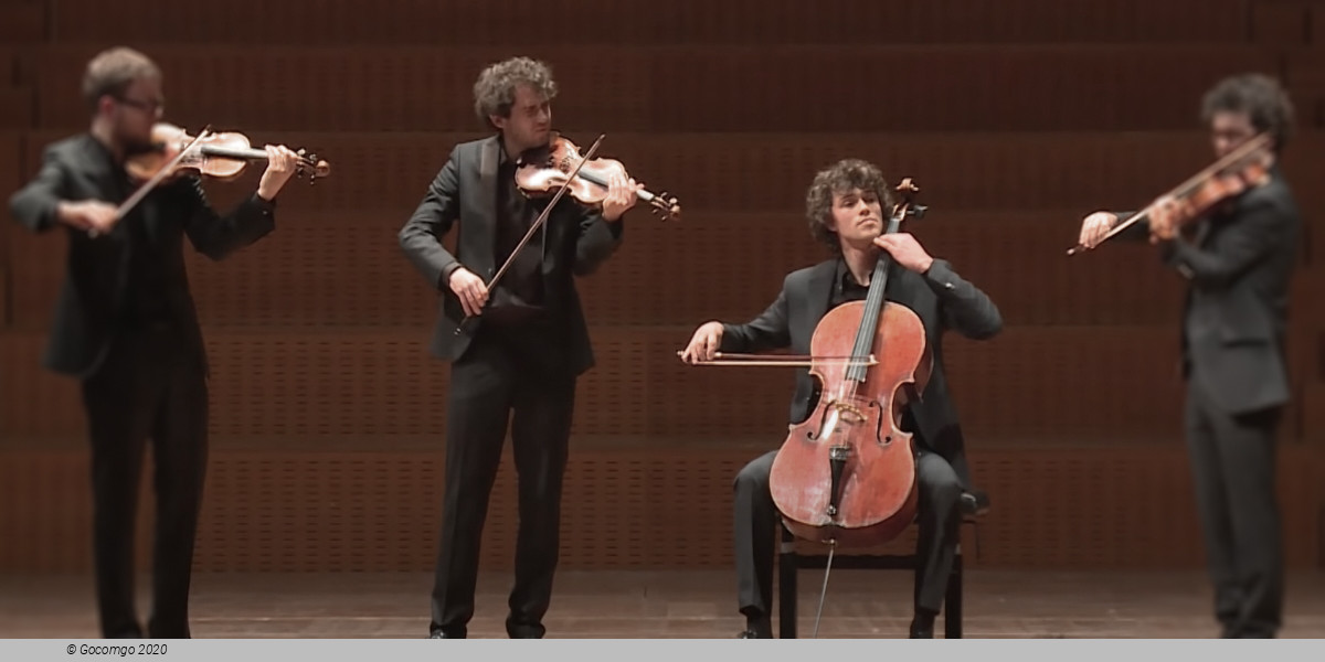 Vision String Quartet, photo 1