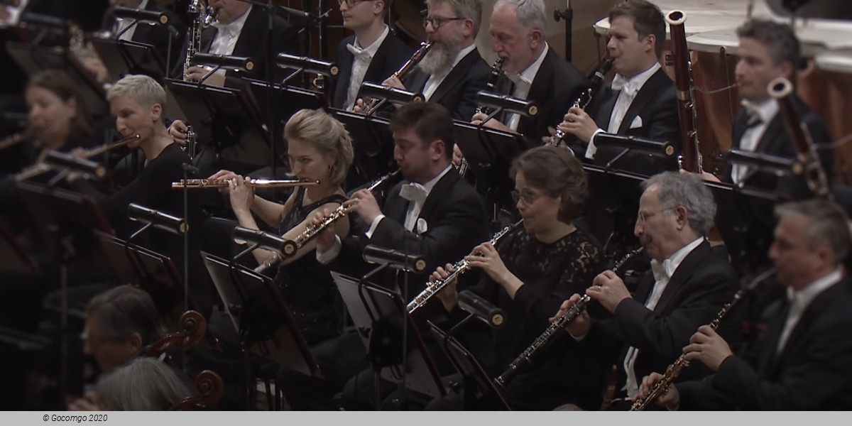 Kuno Knallfrosch, photo 1