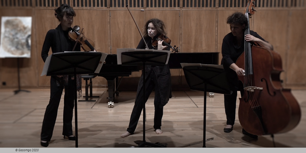 Camerata Bern / Patricia Kopatchinskaja, photo 1