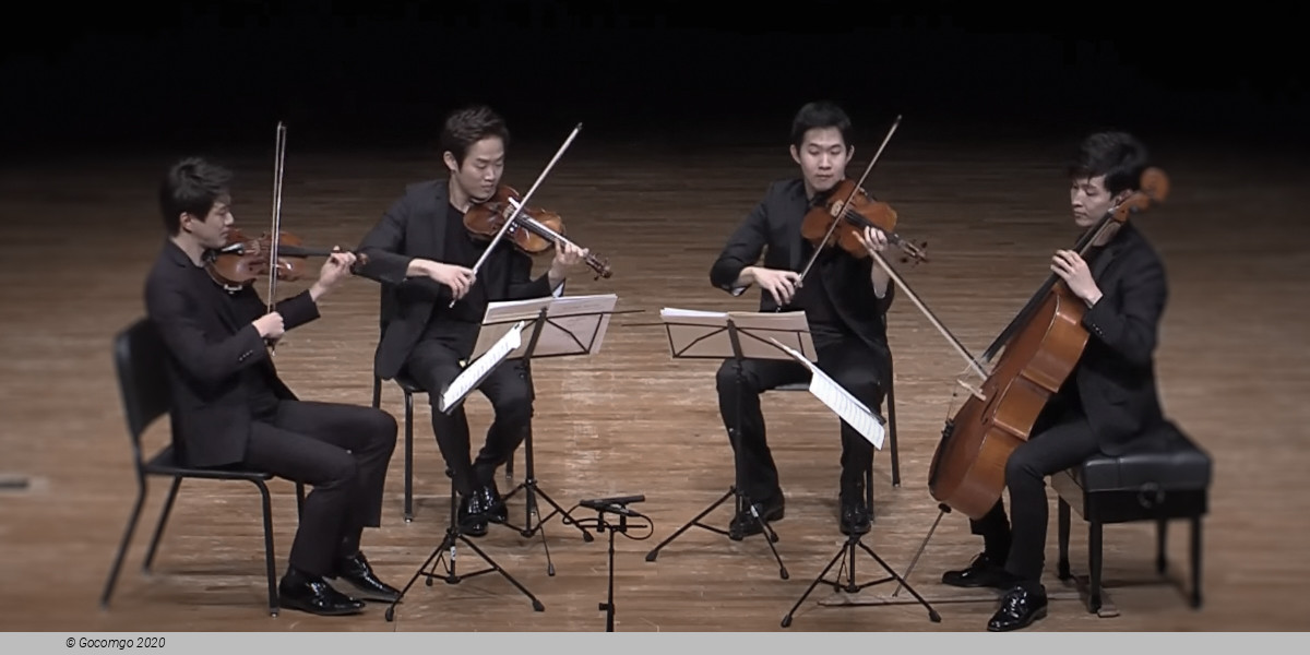 Novus String Quartet, photo 1