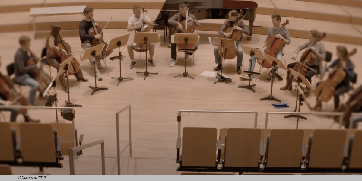 NDR ElphCellisten, photo 1