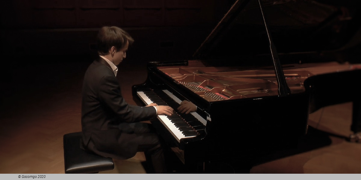 Daumants Liepiņš piano, photo 1