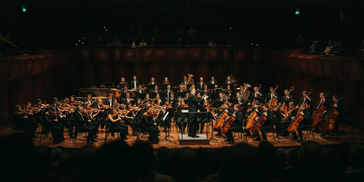 Orchestral Masterworks with Martyn Brabbins: Nielsen & Schoenberg, photo 1