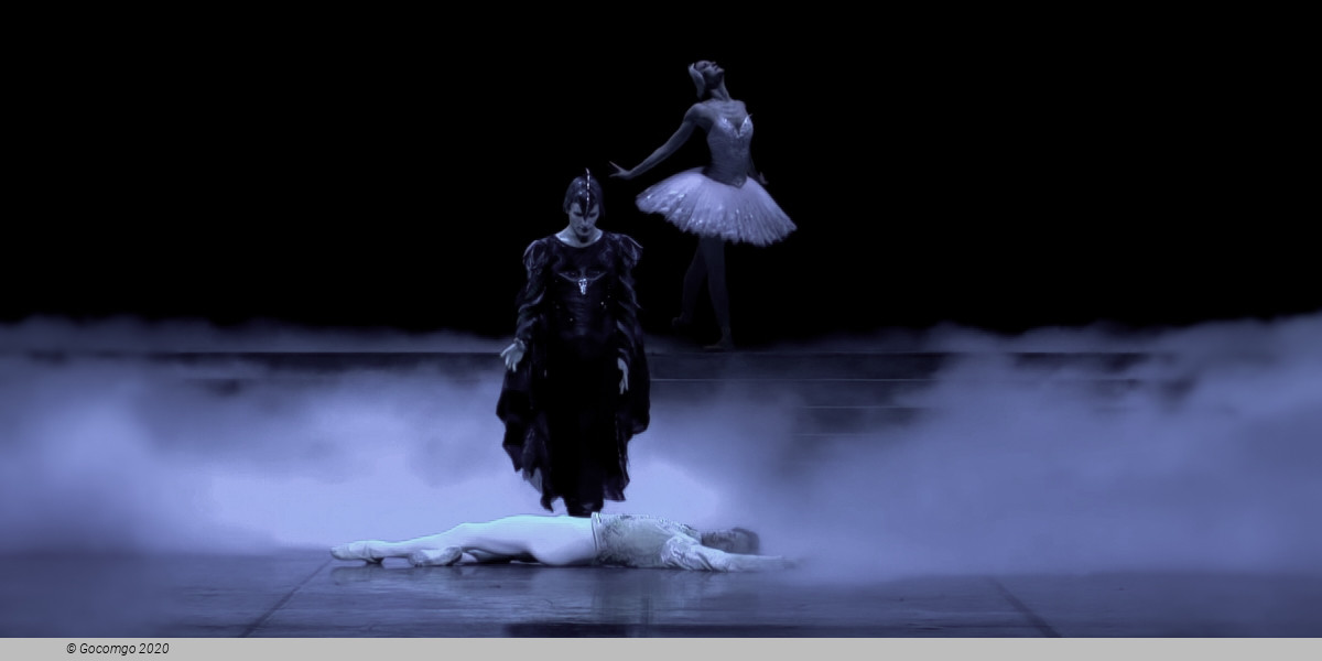 Prima delle Prime - Swan Lake, photo 1