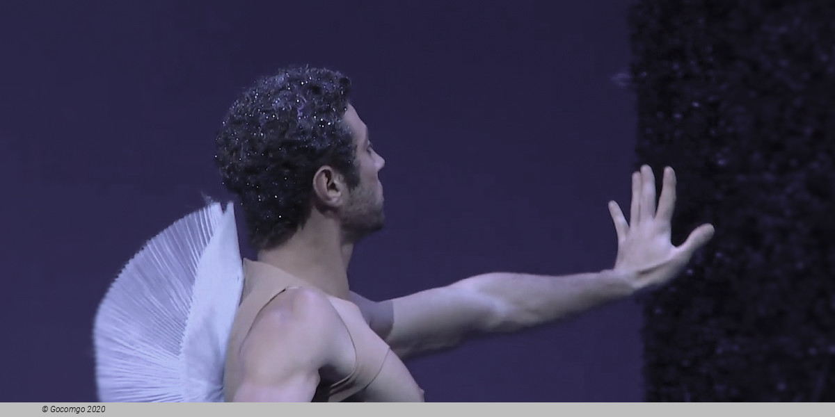 Scene 1 from the ballet "A Midsummer Night's Dream", choreography by Giorgio Madia, photo 2