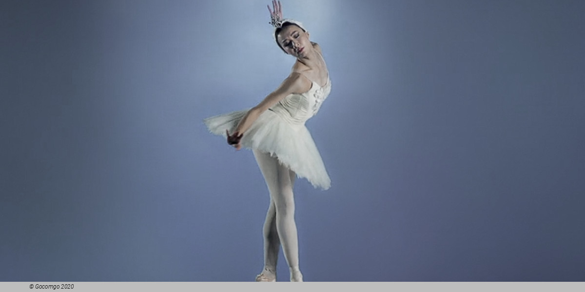 Swan Lake by  Rudi van Dantzigin in collaboration with Toer van Schayk, photo 3