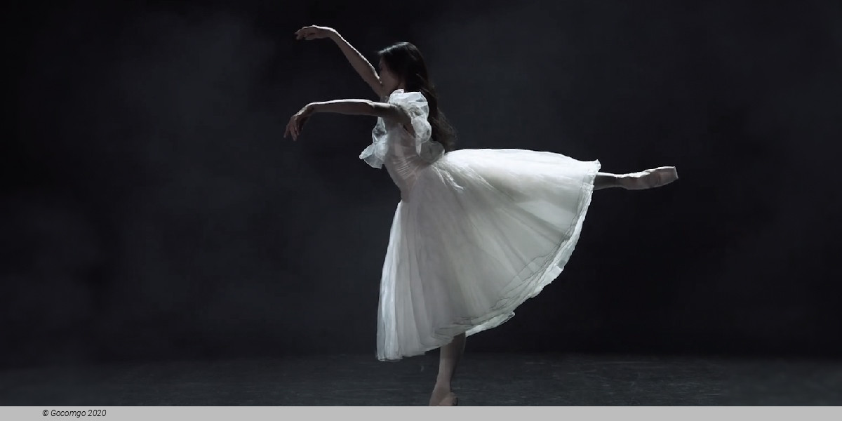 Scene 1 from the ballet "The Lady with the Camellias", choreography by John Neumeier