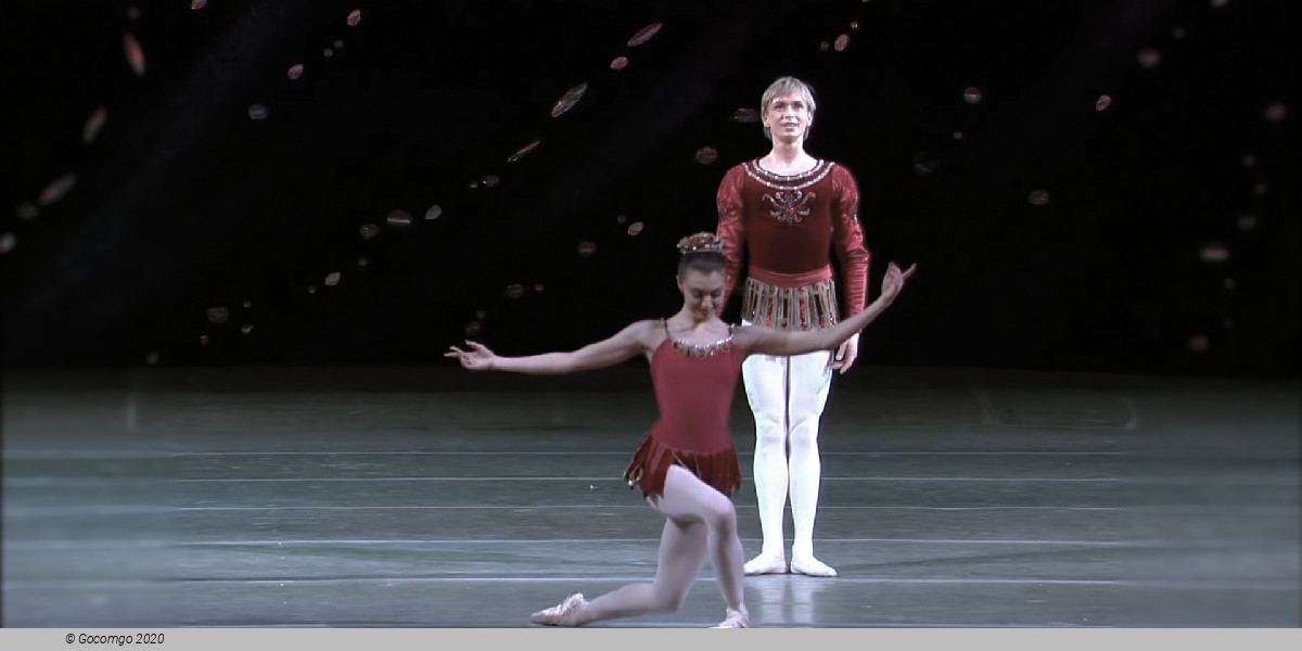 Scene 4 from the ballet "Rubies" (the second section of the three-part ballet "Jewels"), photo 4