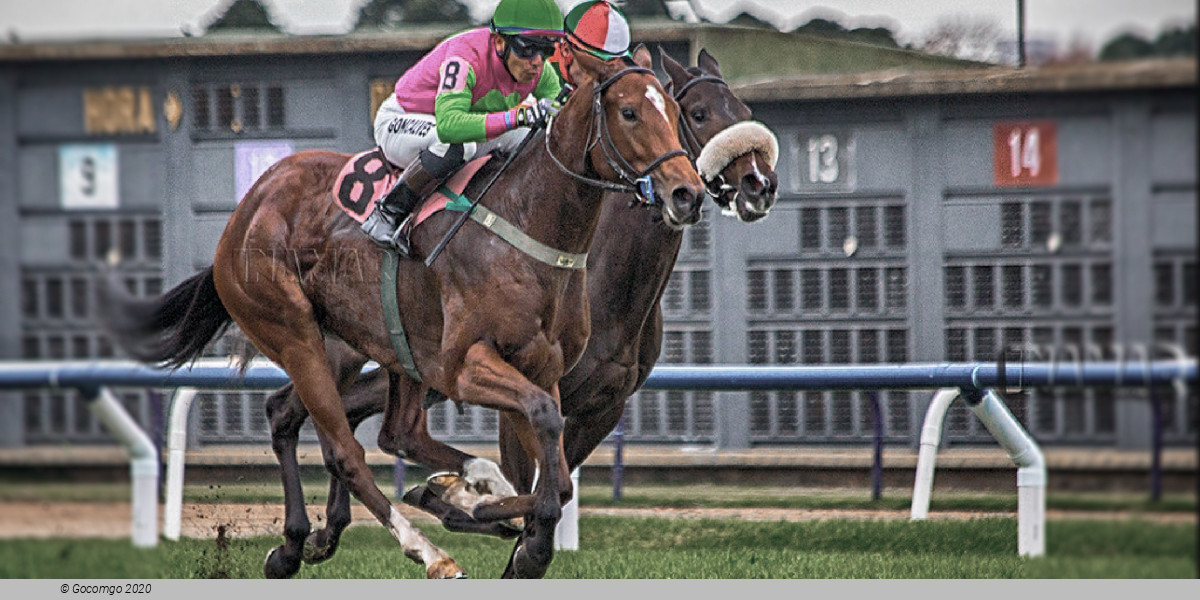 Mar  2025 Hipódromo de San Isidro schedule & tickets