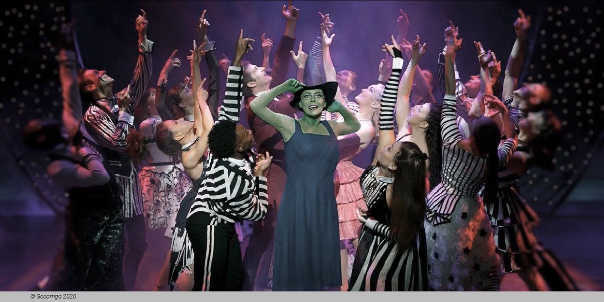 Nov Wicked (Gershwin Theatre) schedule & tickets