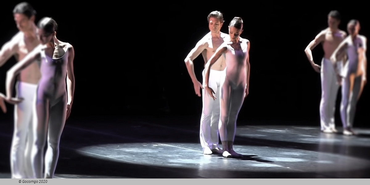 Serata van Manen - Petit, photo 4