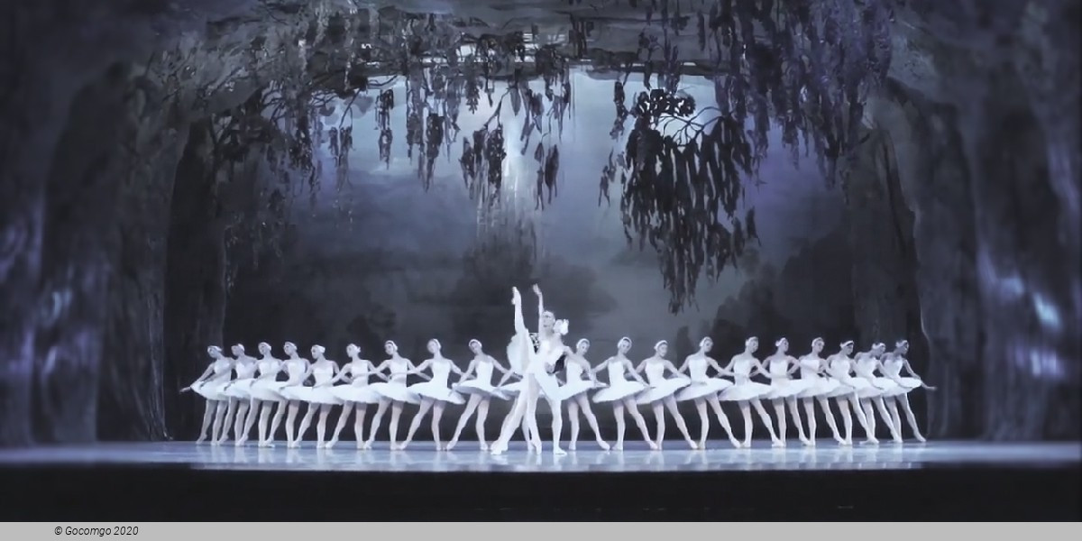 Swan Lake, photo 6