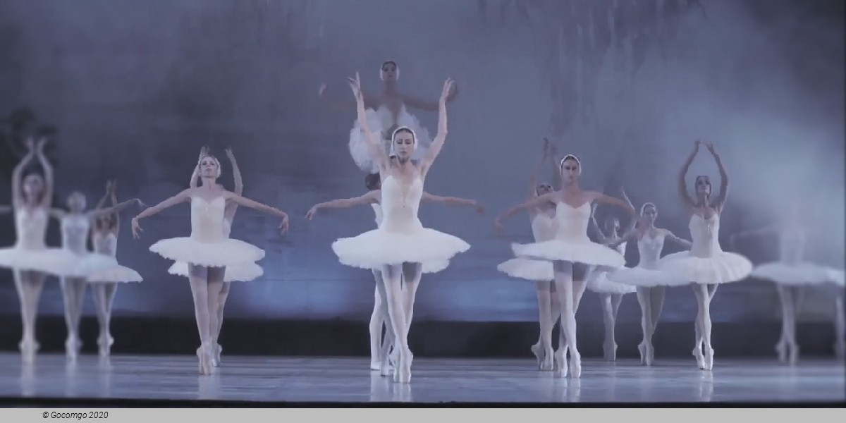 Swan Lake, photo 7