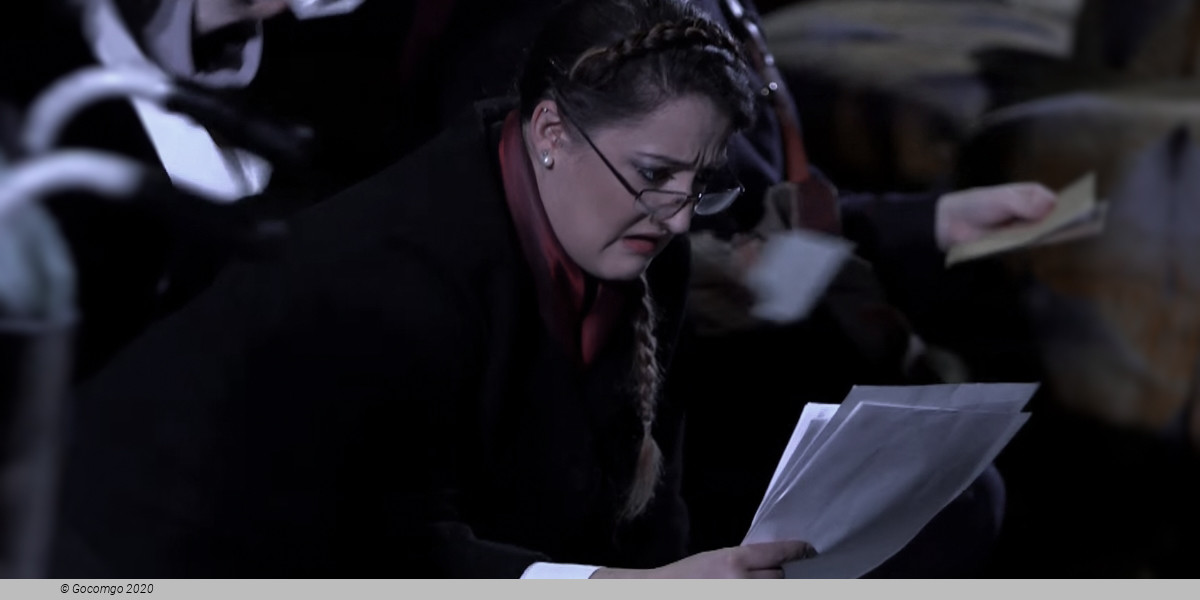 The Government Inspector