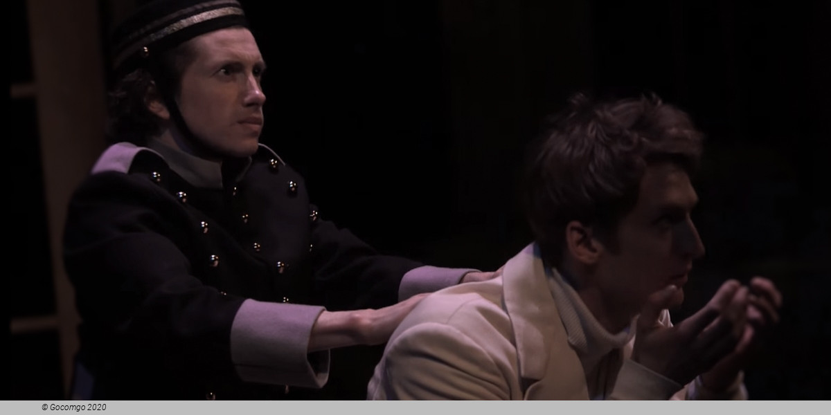 The Government Inspector