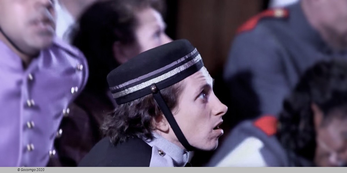 The Government Inspector