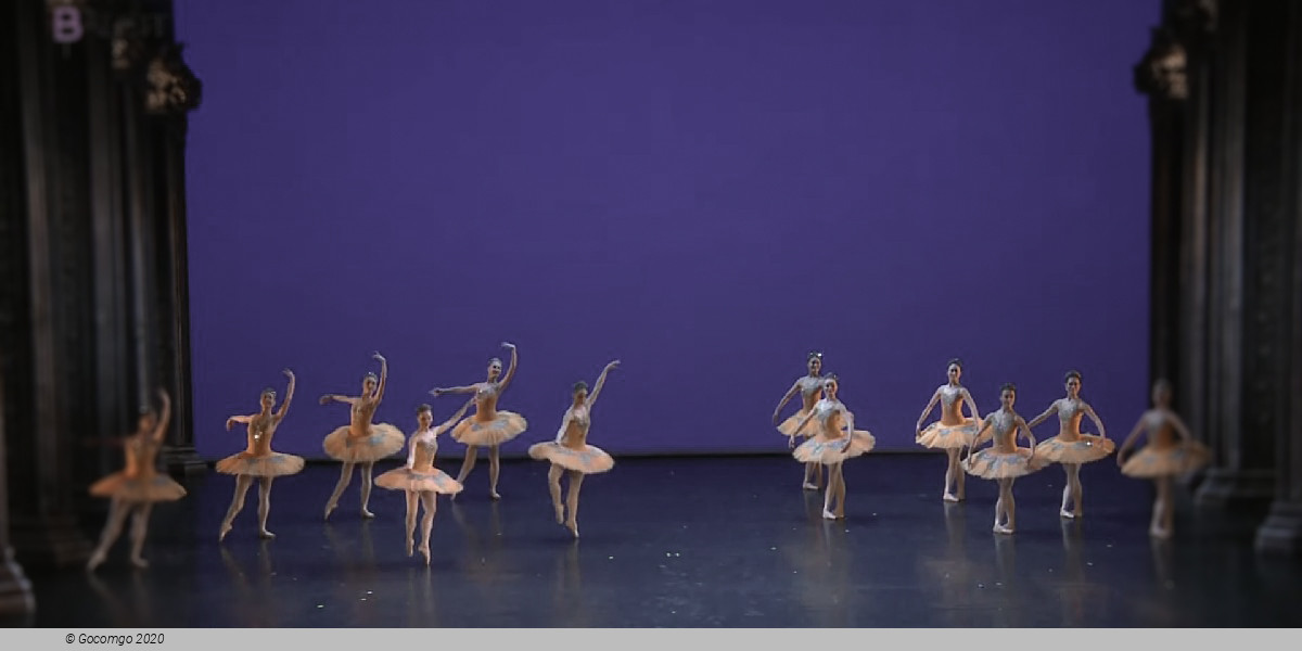 Theme and Variations, photo 1