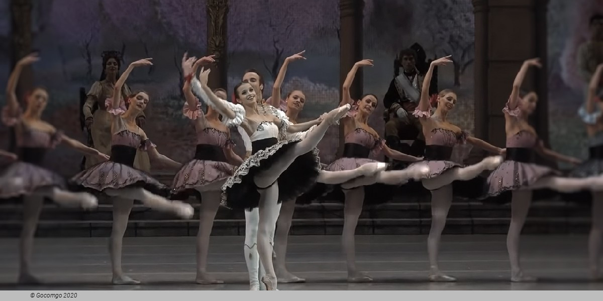 Paquita, photo 5