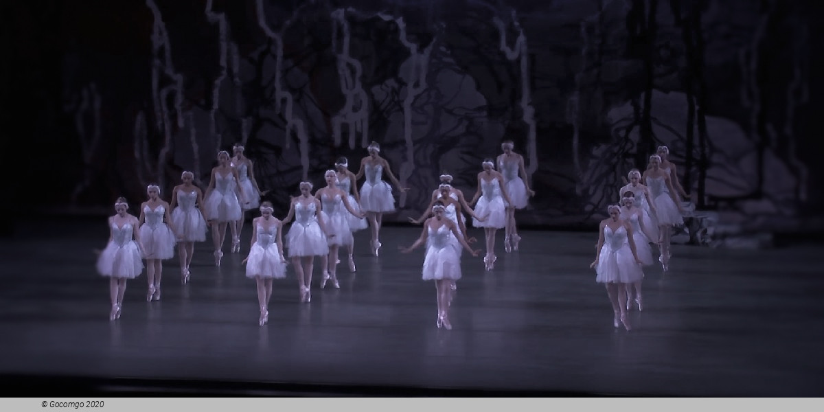 Scene 2 from the ballet "Swan Lake", photo 15