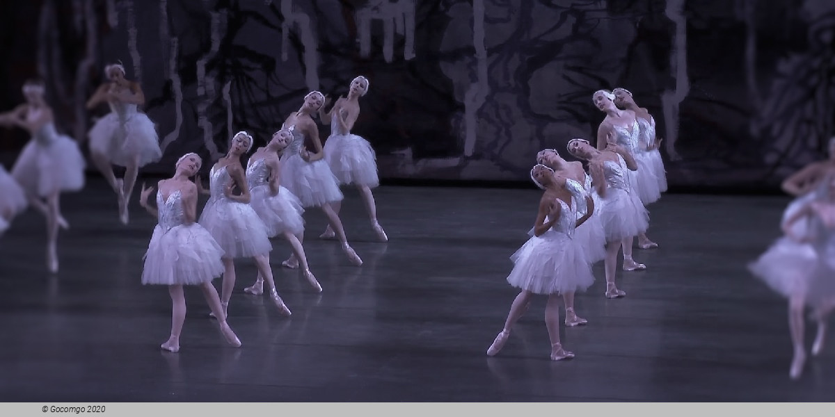 Scene 3 from the ballet "Swan Lake", photo 16